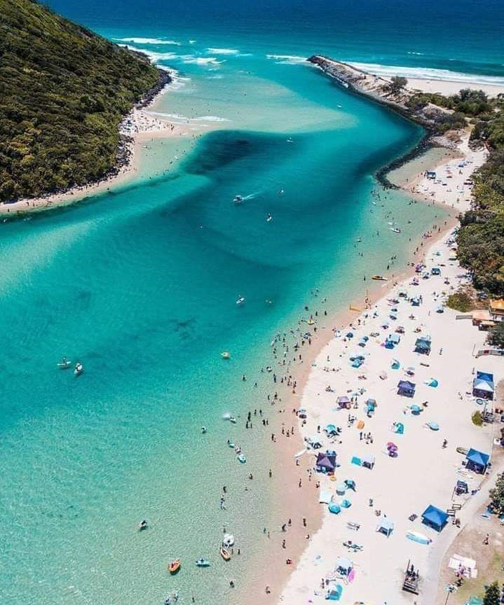 are dogs allowed at tallebudgera creek